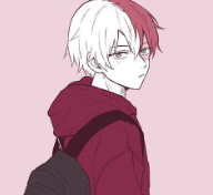 Shoto Todoroki 