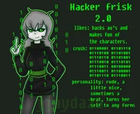 Hacker Frisk