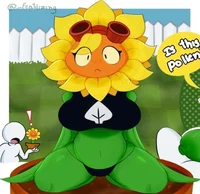 Solar Flare