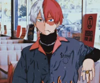 Shoto Todoroki 
