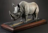 Rhinoceroses