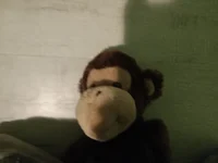 Mr_Monkey_man