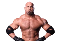 bill goldberg