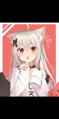 Kakashi Neko