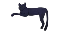 Panther
