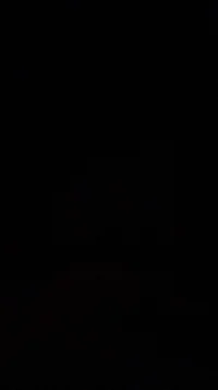 Bot