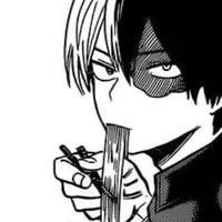 Shoto Todoroki 