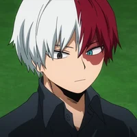 Shoto Todoroki