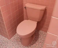 Female toilet