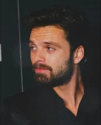 Sebastian Stan