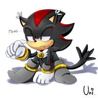 Shadow the hedgehog 