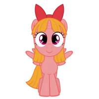 Filly Blossom