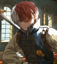 Shoto todoroki 