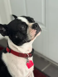 005 - Get to know me