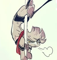 Vinny -HH-Arackniss-