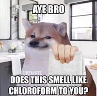 Cheems