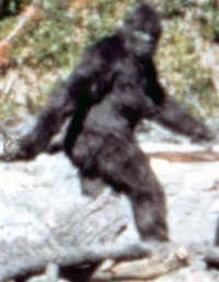 sasquatch meme rater