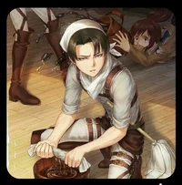 Levi
