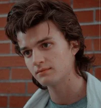 Steve Harrington 