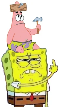Sponge n starfish
