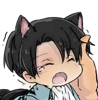 Levi Ackerman Cat