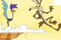 Coyote Y Road Runner