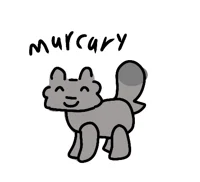 Murcury 