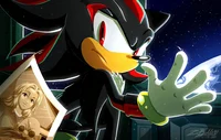 Shadow The Hedgehog