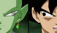 Black and Zamasu
