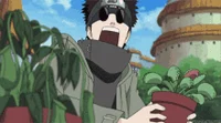 Shino Aburame 