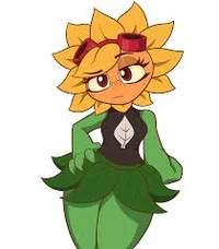 Solar Flare