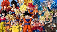 A Bunch Of Gokus