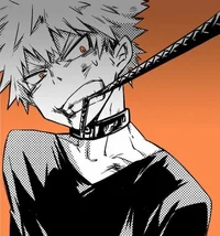 Bakugou katsuki