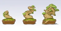 Bonsai Dragon