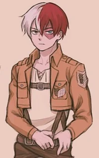 Shoto Todoroki