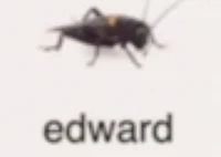 Edward