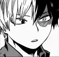 Shoto Todoroki