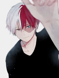 Shoto todoroki