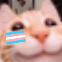 meowTRANS