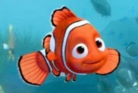 Nemo