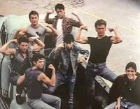 The Greasers 