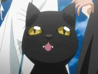 Yoruichi - Cat