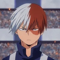 Shoto Todoroki