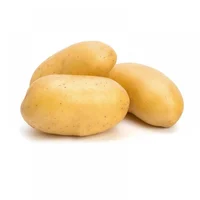 Humble Potato