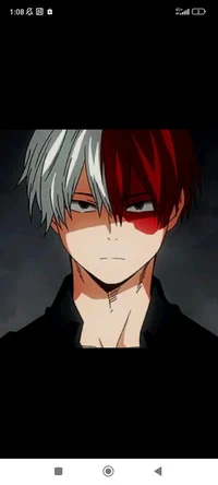 Shoto todoroki 