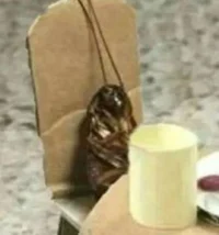 Fem Steve Harrington