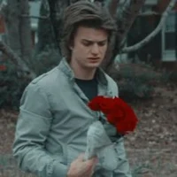 Steve Harrington 