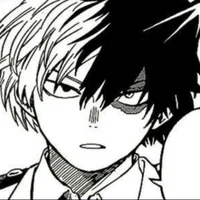Shoto Todoroki