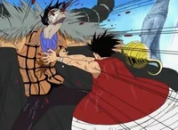 One piece - fight