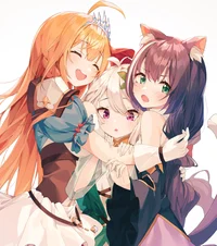 A perfect Harem